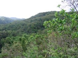 Paysage typique du bas du sentier IMG_0804