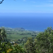 Vue sur Grande Anse 3953.jpeg