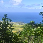 Vue sur le Piton de Grande Anse 3238.jpeg