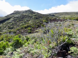 De plus près, le Piton Rouge - à droitel les dykes