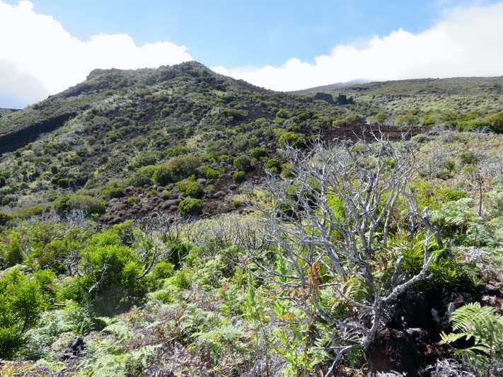 De plus près, le Piton Rouge - à droitel les dykes