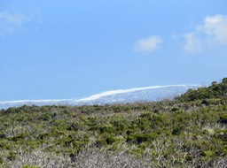 Là-bas en bas le lagon (1)