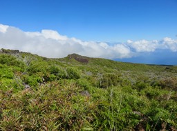 la crête aux approches de la Caverne