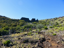 Le dyke à la croix
