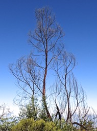 P1016121