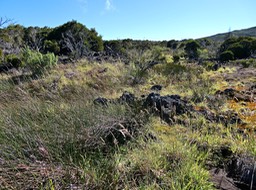 P1016164