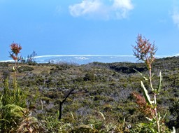 P1016260