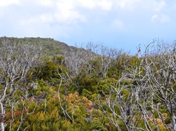 P1016356