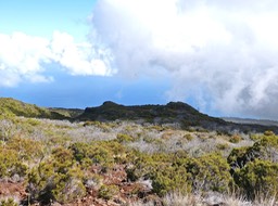 P1016368