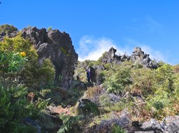 P1016393