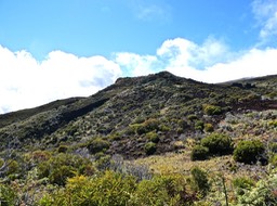P1016410