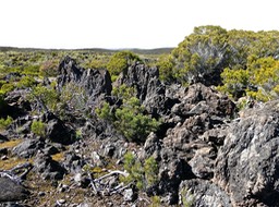 P1016452-1