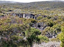 P1016453