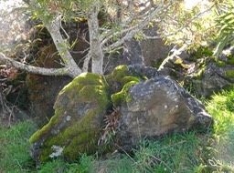 P1016496