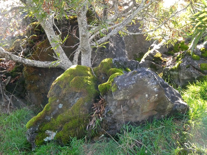 P1016496