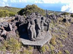 P1016561