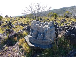 P1016563