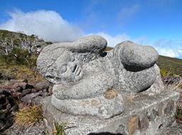 P1016579