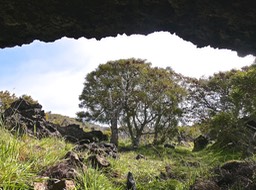 P1016623