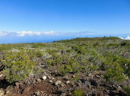 Paysage alti-montain et traces des incendies