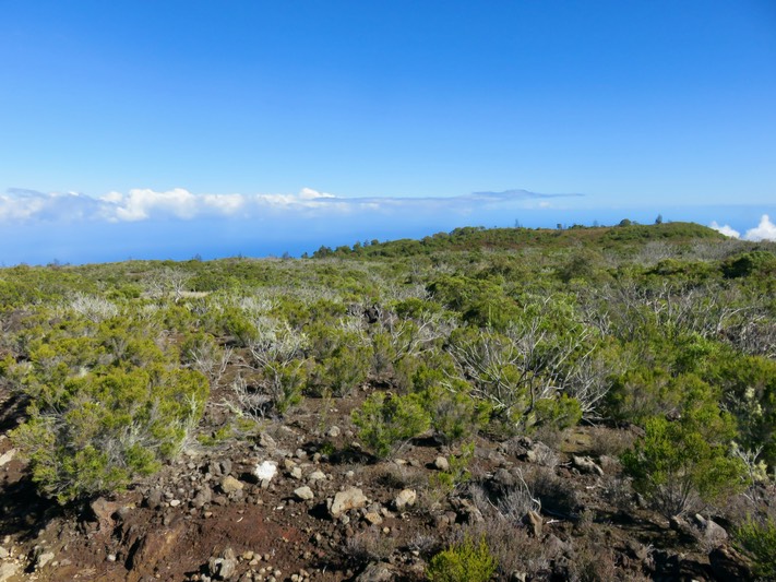 Paysage alti-montain et traces des incendies
