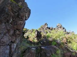 Sous le dyke à la Croix en montant au Piton Rouge