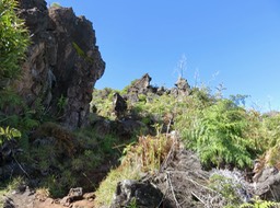 Sous le dyke à la Croix en montant au Piton Rouge (1)