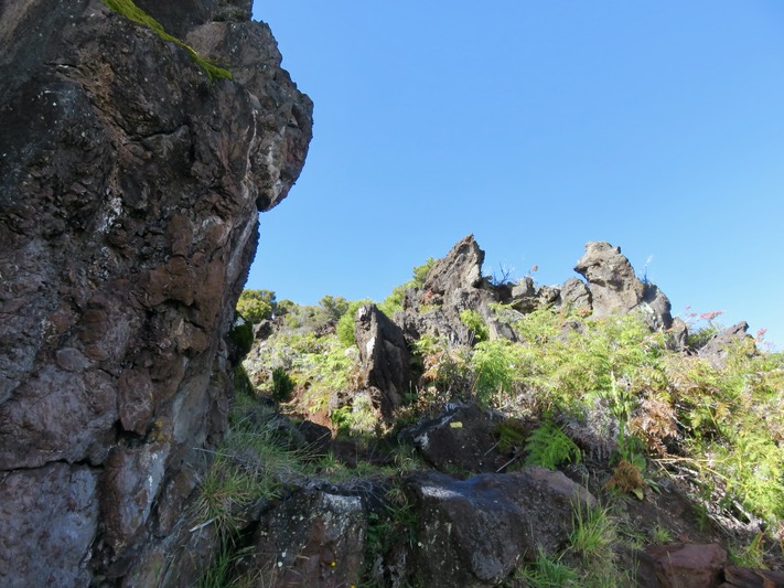 Sous le dyke à la Croix en montant au Piton Rouge