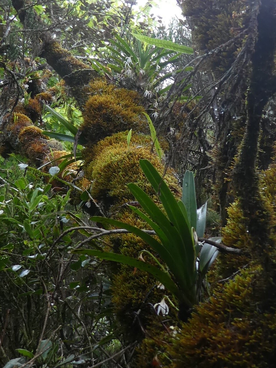 P1050925.jpg