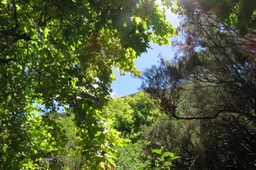 18 Sous les platnes,