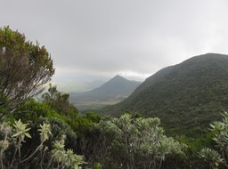 30 Vue vers le nord, depuis la montée vers le sommet du Piton Rouge
