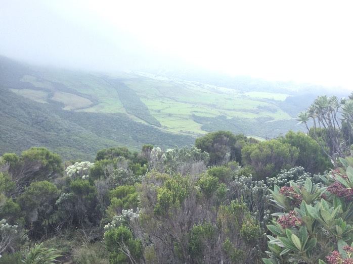 38 Vue du sommet du Piton Rouge, en direction du sud
