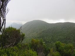 39 Pitons alentour
