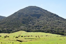 DSC_8895