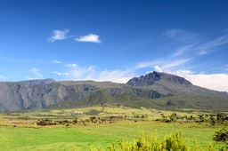 DSC_8910