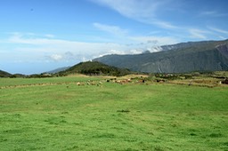 DSC_8911
