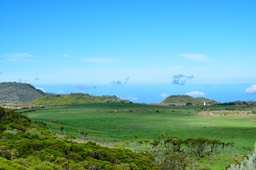DSC_8923