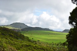 DSC_9031