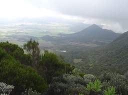 Du haut du Piton rouge