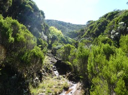 P1550556