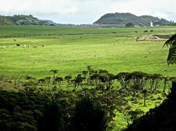 P1560060
