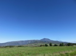 1 Piton des Neiges et prairies de la Plaine des Cafres