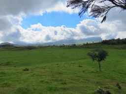 64 Fin d'après-midi