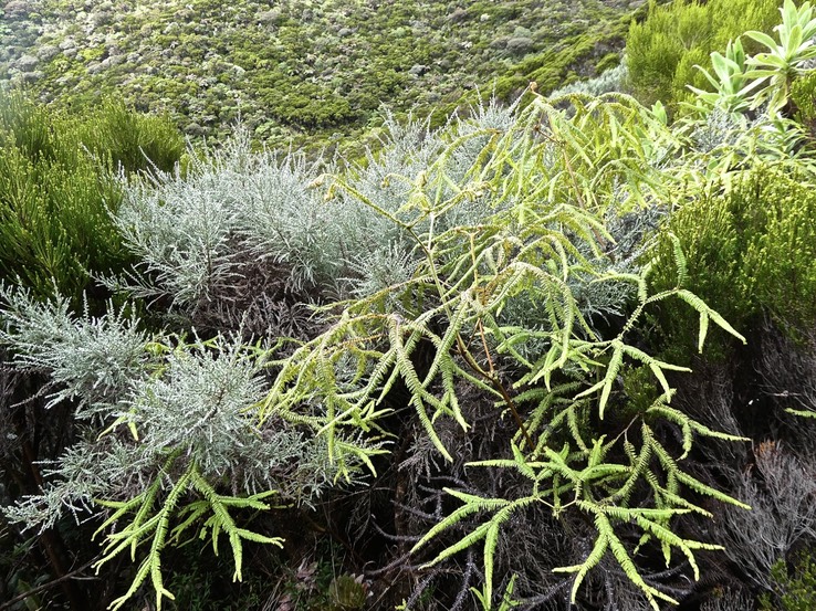 P1009137