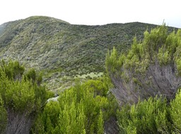 P1009264
