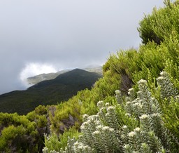 P1009327