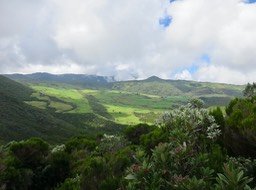 29. Vue prise après le sommet du Piton Rouge en regardant vers le sud