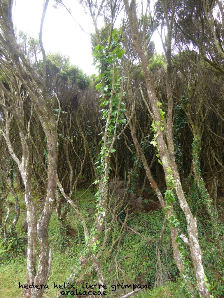 P1450540