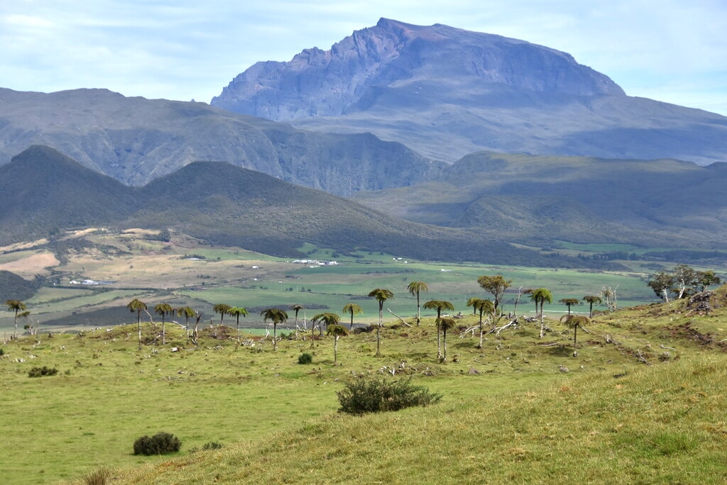 Piton des Neiges veillant sur la Plaine des Cafres