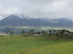 de gauche à droite, au loin / Piton Tortue, Piton Lepervenche, Piton Bleu